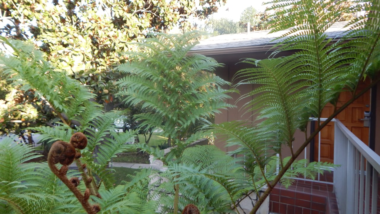 Gartenanlage Best Western Hotel Pine Tree Motel