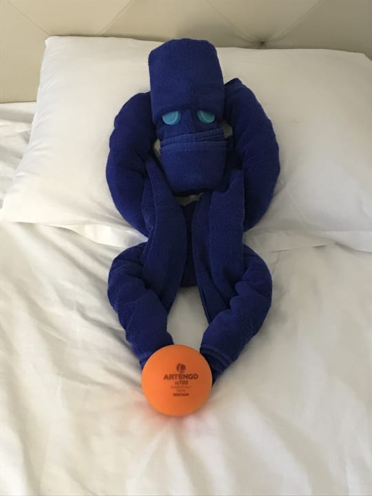 Zimmer Sentido Marea