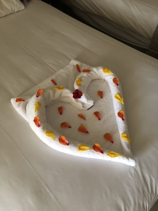 Zimmer Stella Garden Resort & Spa, Makadi Bay