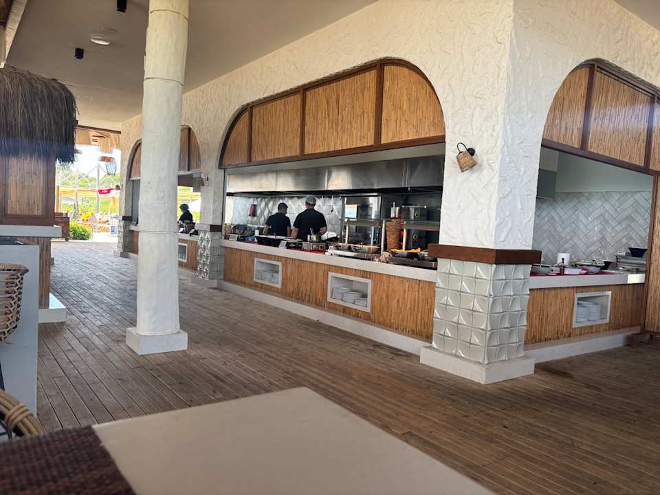 Strand Seashell Vega