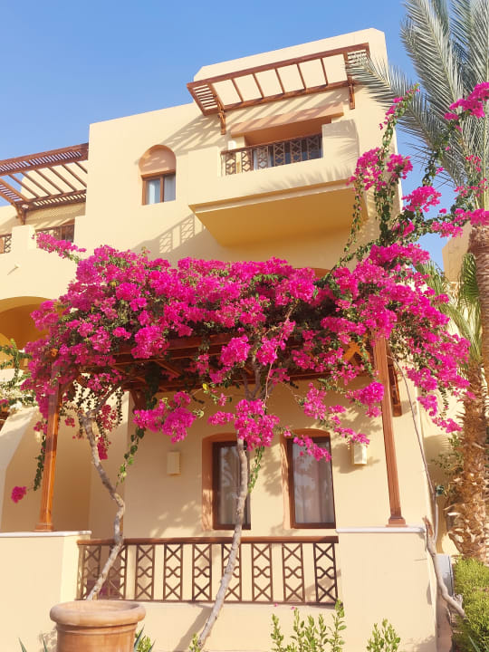 Außenansicht Steigenberger Coraya Beach - Adults only