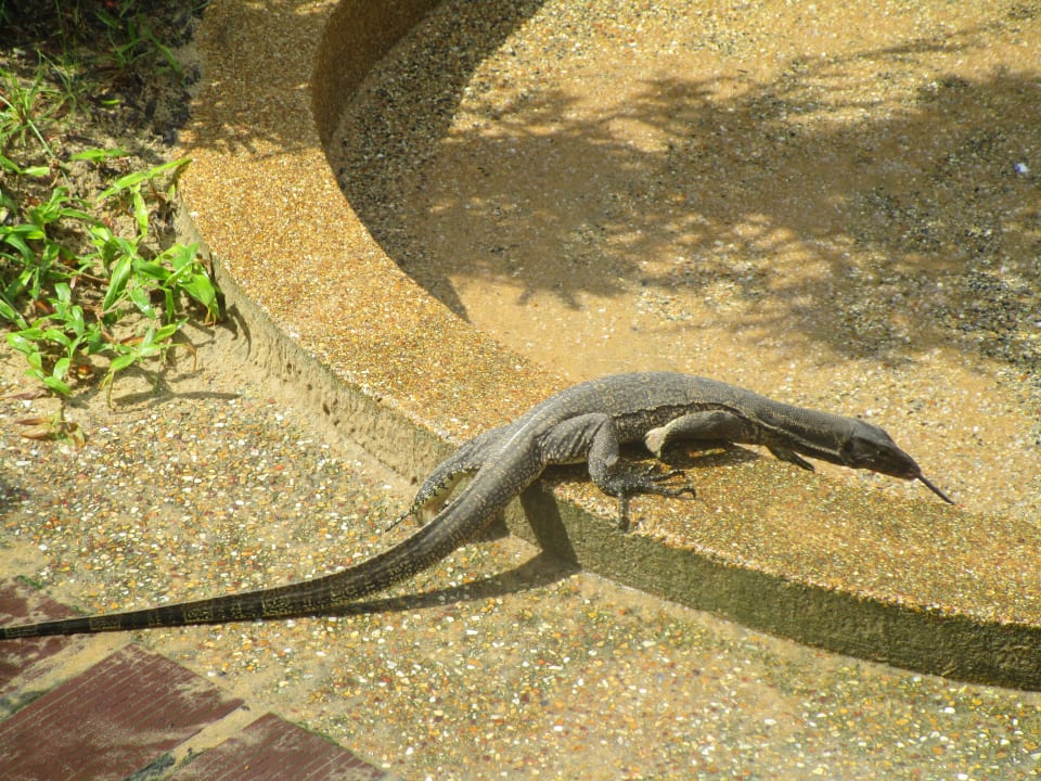 Sonstiges Khao Lak Merlin Resort