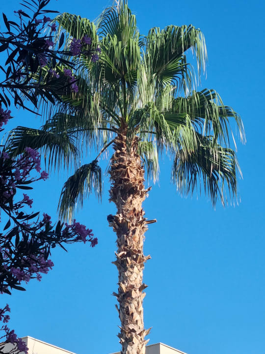 Sonstiges Labranda Alantur Resort