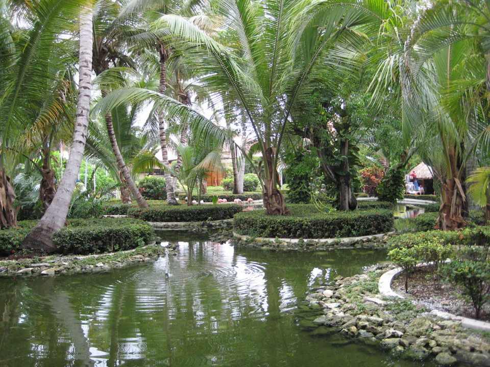 Teichanlage mit Flamingo vor dem Eingang zur Lobby Grand Palladium Select Bávaro Resort & Spa