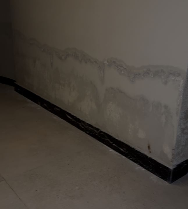 Sonstiges Royal Atlantis Icon