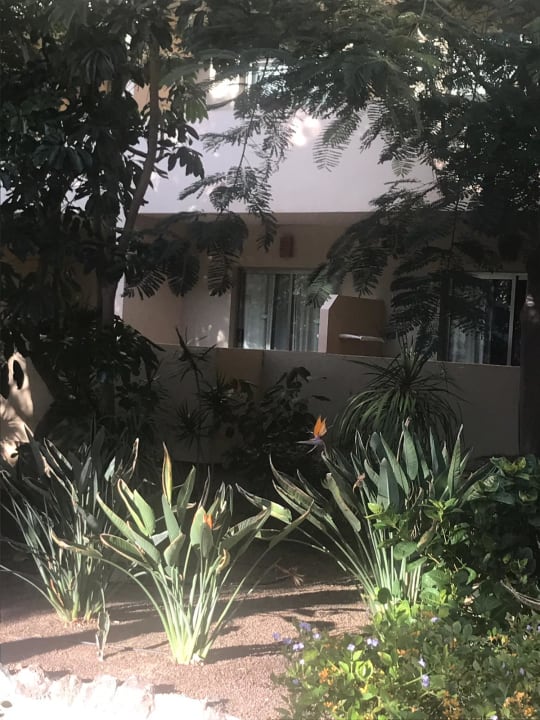 Ausblick Elba Carlota Beach & Golf Resort