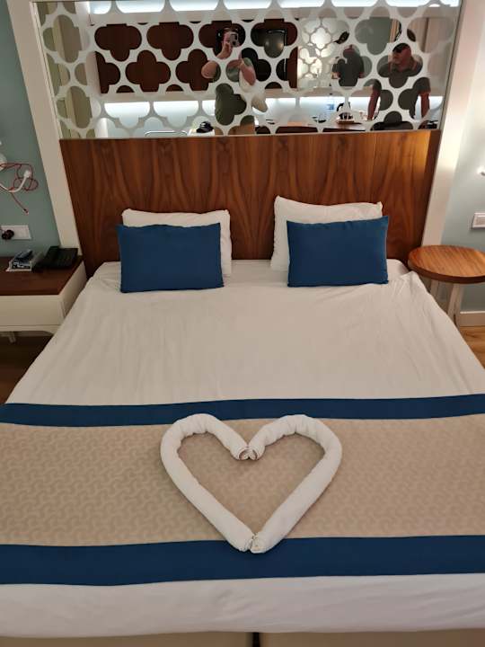 Zimmer Seashell Vega