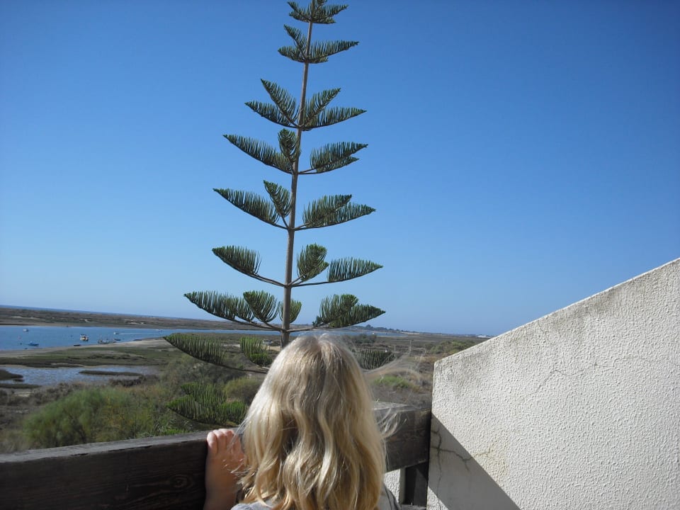 Die Lagune Golden Club Cabanas