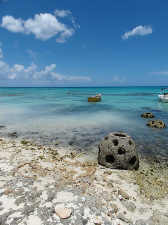 Strand Catalonia Royal La Romana - Adults only