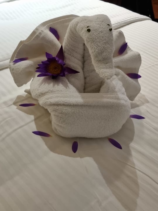 Zimmer Royal Palms Beach Hotel