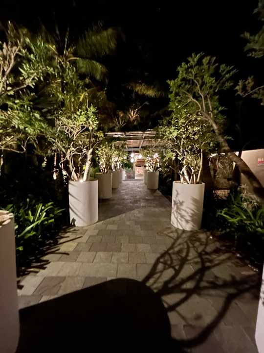 Sonstiges Zilwa Attitude