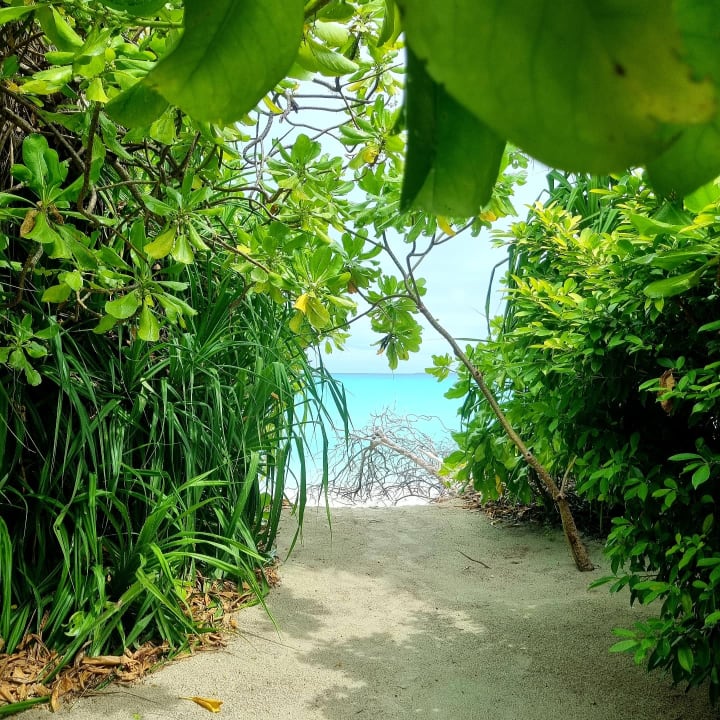 Gartenanlage Hondaafushi Island Resort