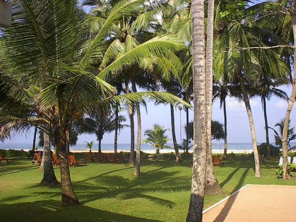 Der Hotelgarten Thaala Bentota