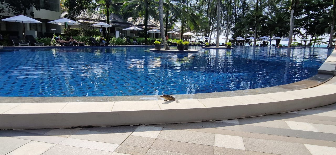 Pool X10 Khaolak Resort