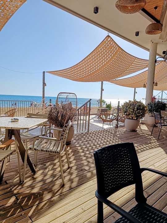 Strand Seashell Vega