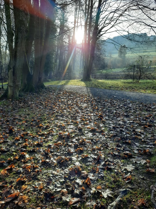Gartenanlage Hotel Schloss Wartegg