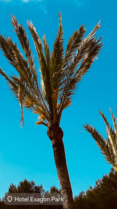 Gartenanlage Hotel Exagon Park