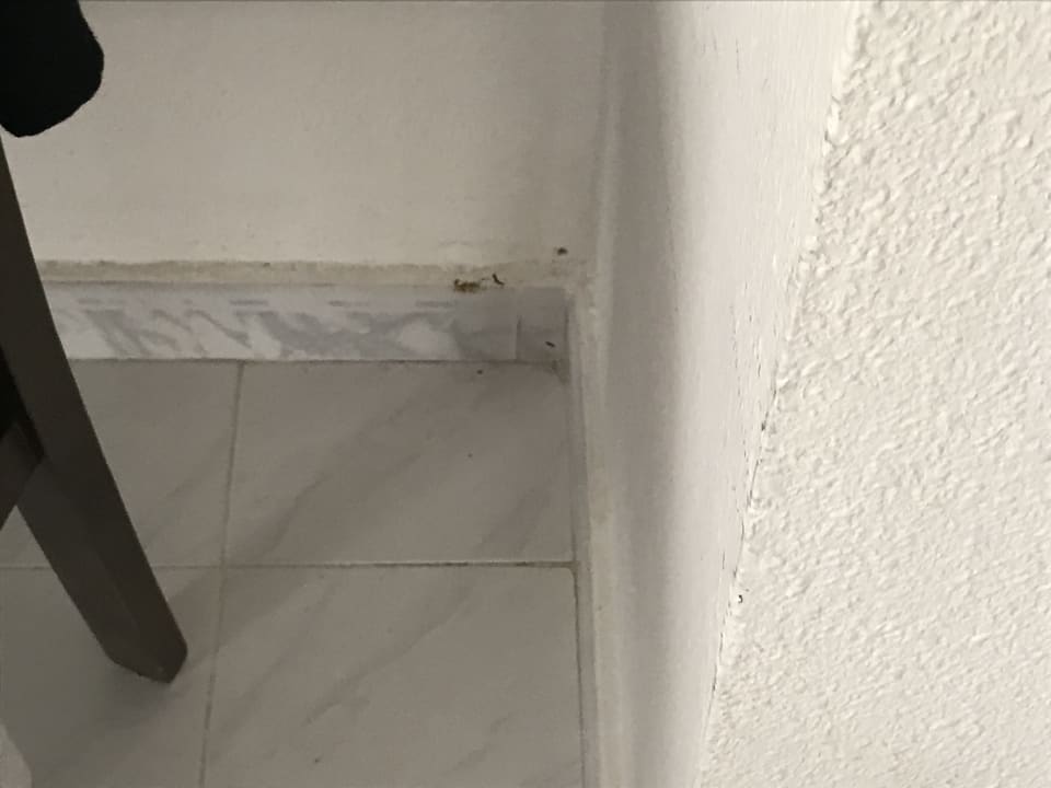 Zimmer SBH Hotel Taro Beach