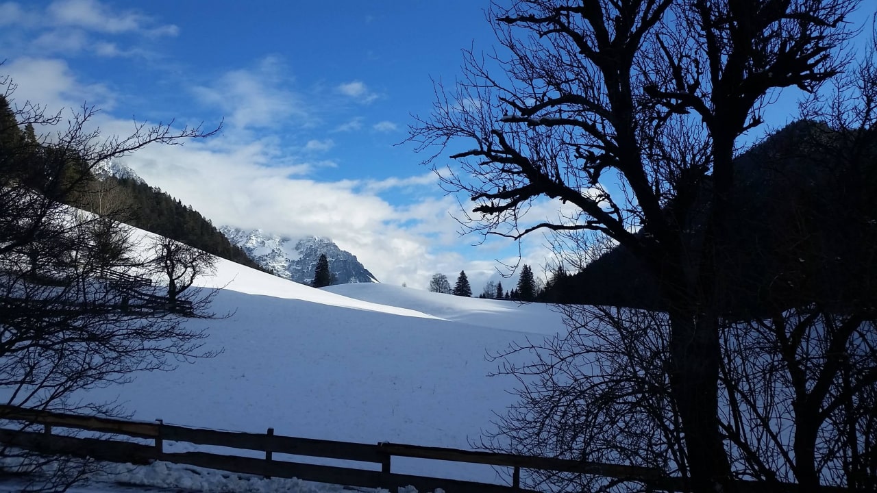 Blick aus dem Zimmerfenster. Guten Morgen, Welt!  Pension-Biobauernhof Hagenhof