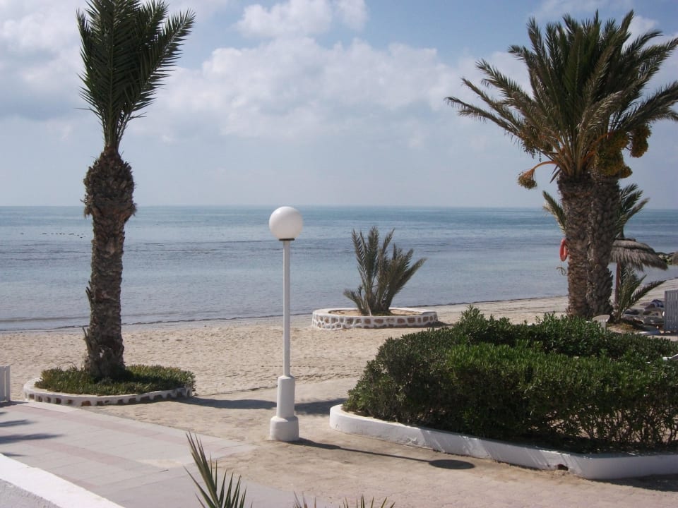 Blick aufs Meer Hotel El Mouradi Djerba Menzel