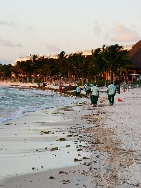 Strand Akumal Bay Beach & Wellness Resort