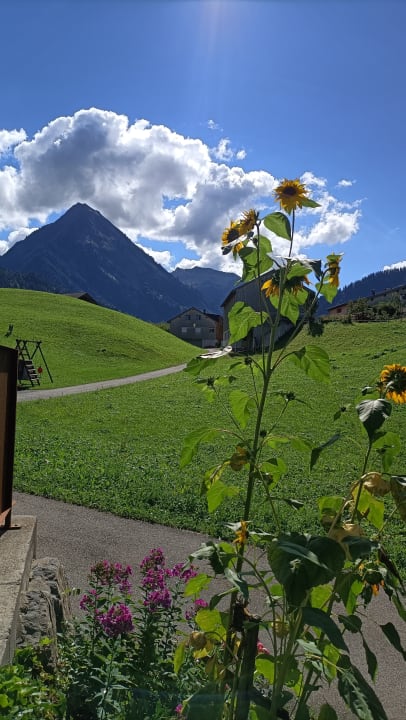 Ausblick Hotel Panoramahof Eggele