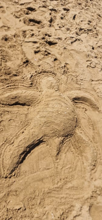 Strand Alba Queen Hotel