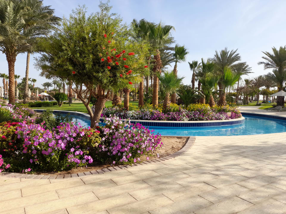 Gartenanlage Steigenberger ALDAU Beach Hotel