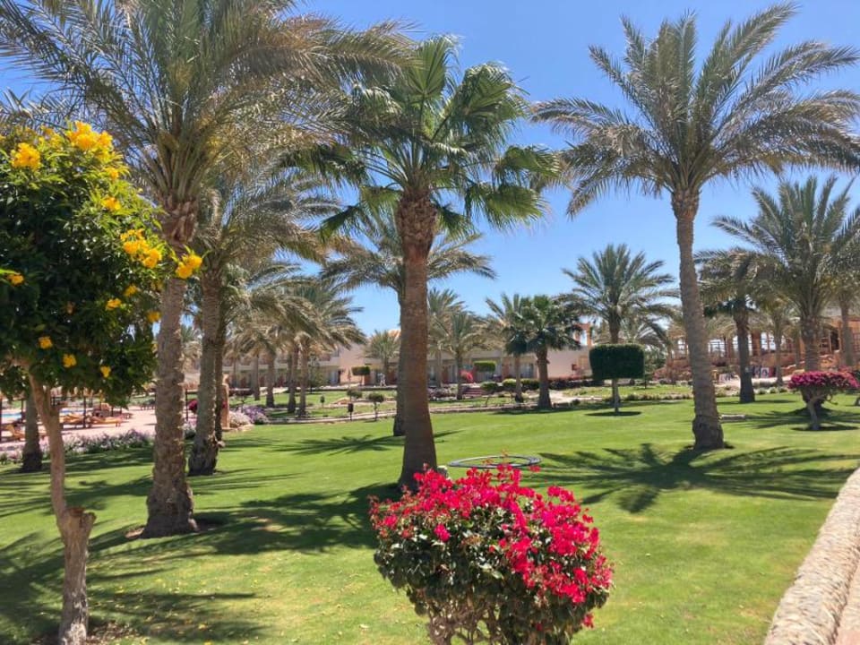 Außenansicht Three Corners Sea Beach Resort