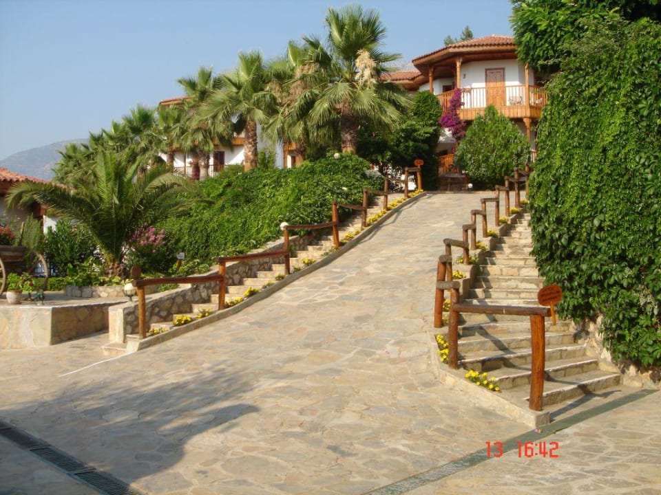 HOTEL Montana Pine Resort