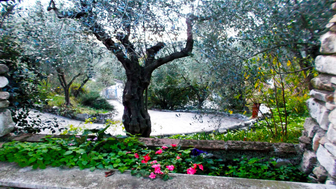 Naturpark Belle Èpoque