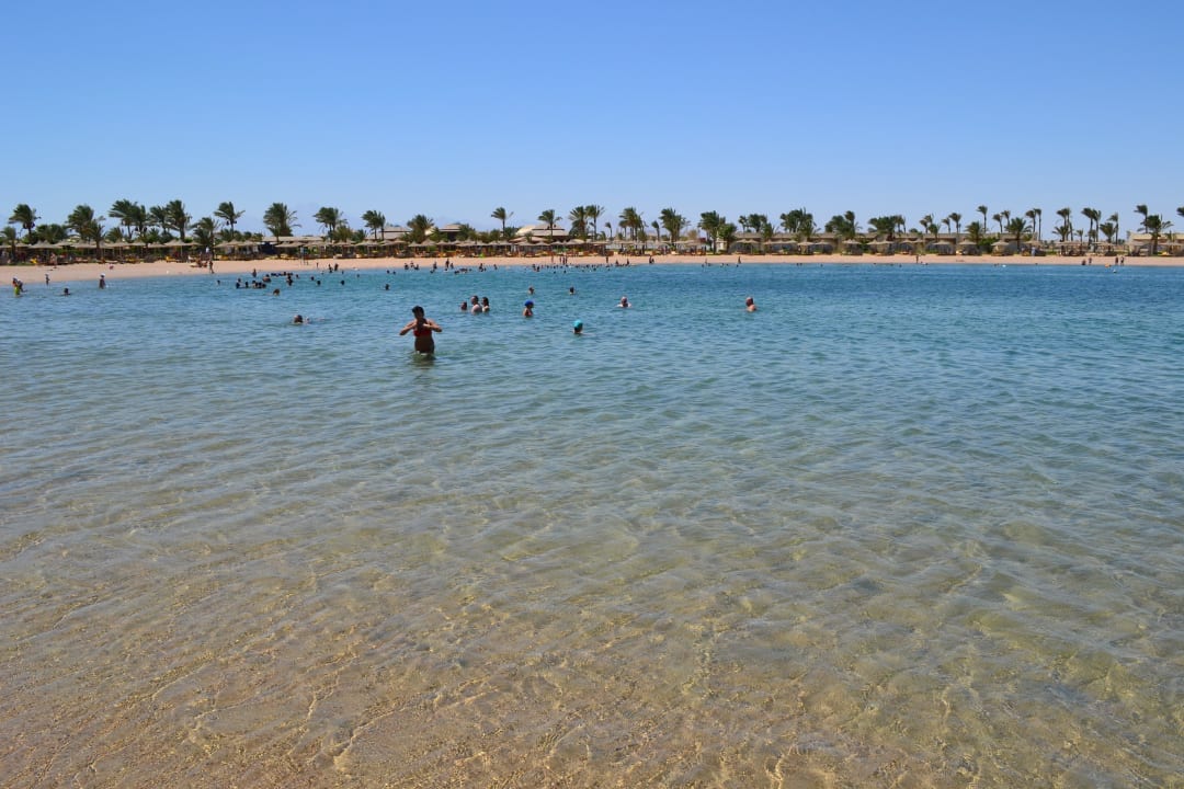 Spacer po plaży Desert Rose