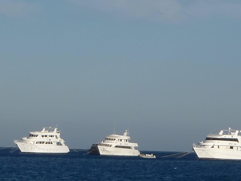 Rote Meer vom Strand Giftun Azur Resort