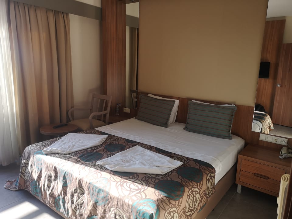 Zimmer AQI Pegasos World