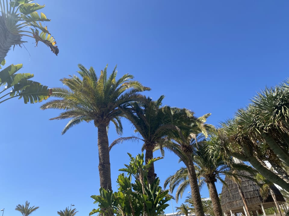 Außenansicht Abora Buenaventura by Lopesan Hotels