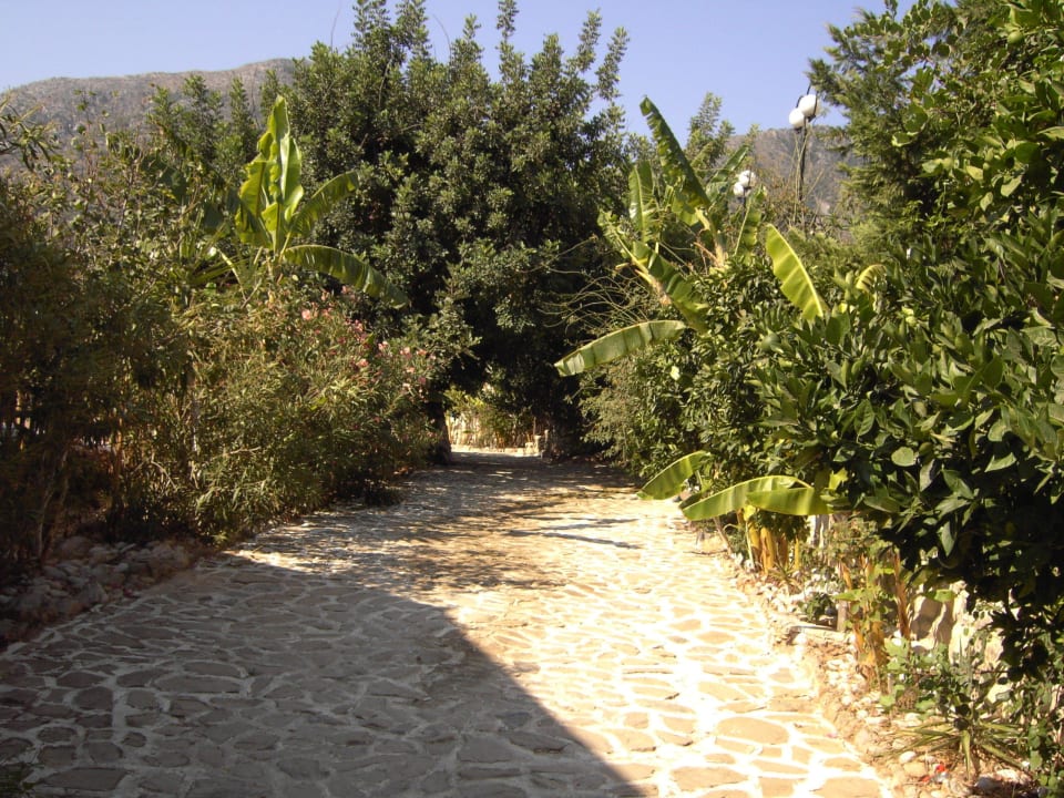 Weg zu den Bungalows Stone Village Petrino Horio