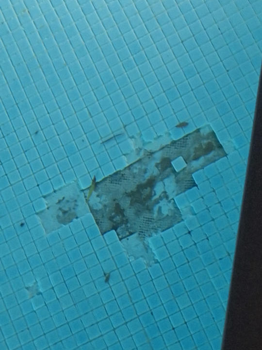 Pool Makadi Spa - Adults only