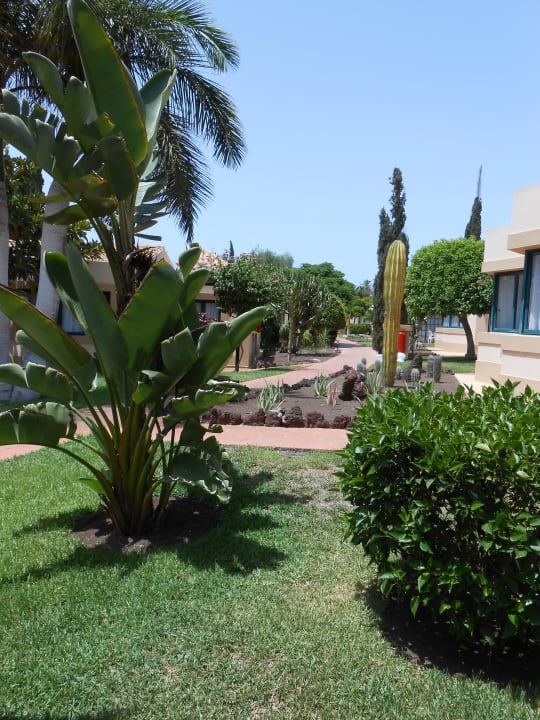 Gartenanlage allsun Hotel Esplendido