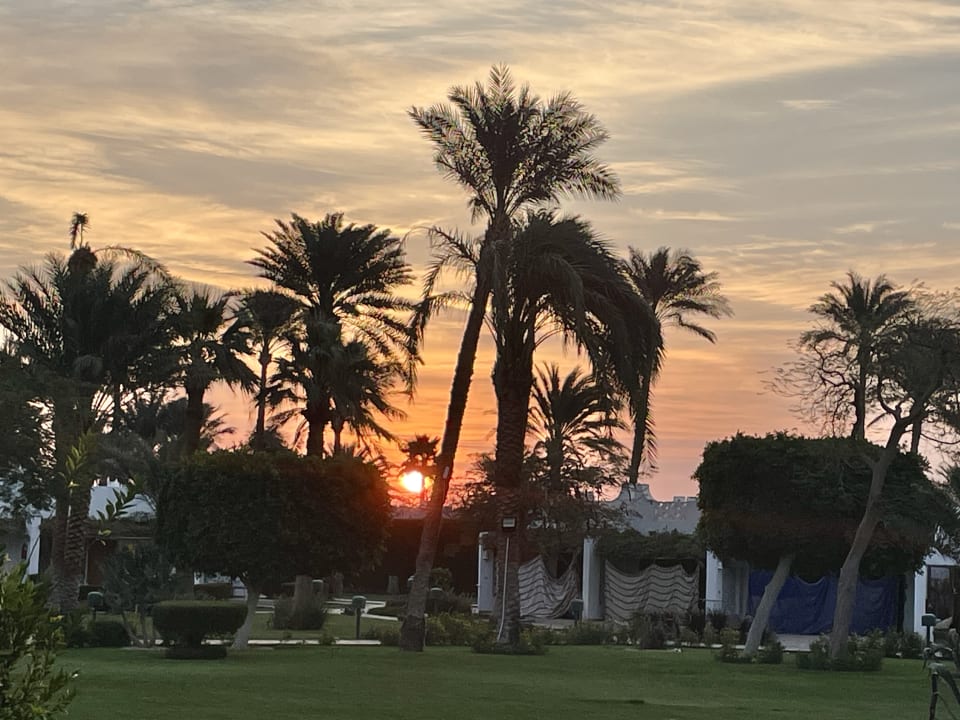 Gartenanlage Shams Safaga Resort