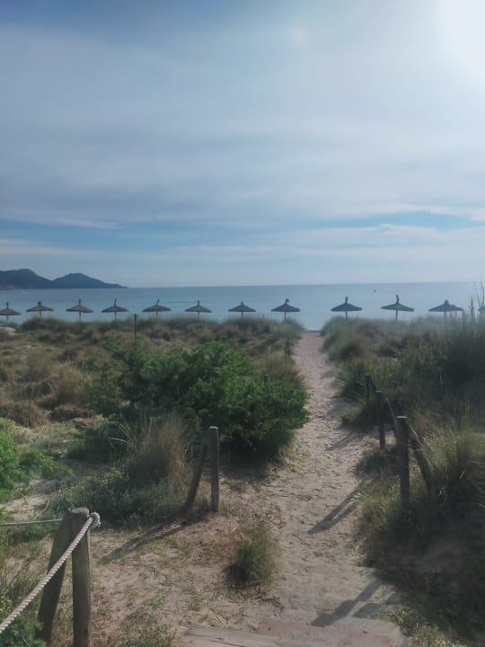 Strand Grupotel Natura Playa