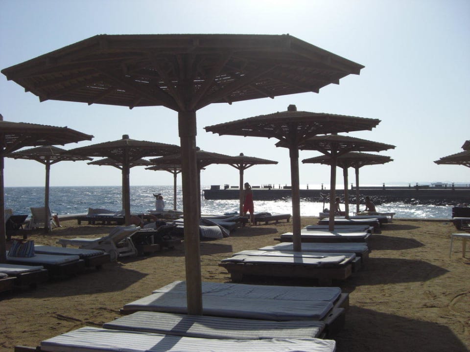 Sonnenliegen Palm Beach Resort