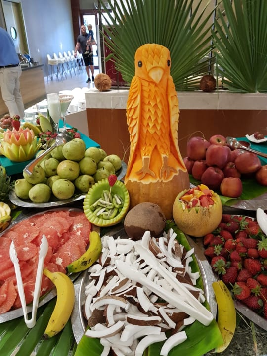 Gastro Club Grand Aqua