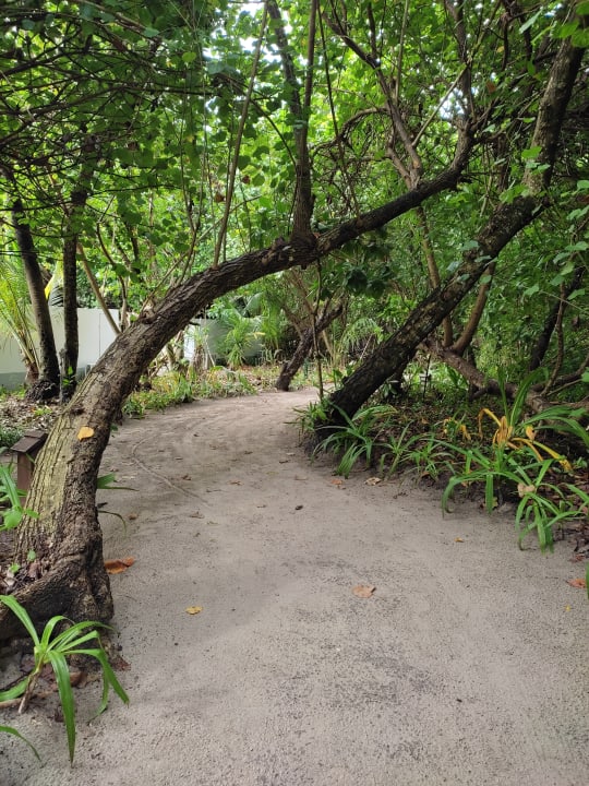 Gartenanlage NH Collection Maldives Reethi Resort