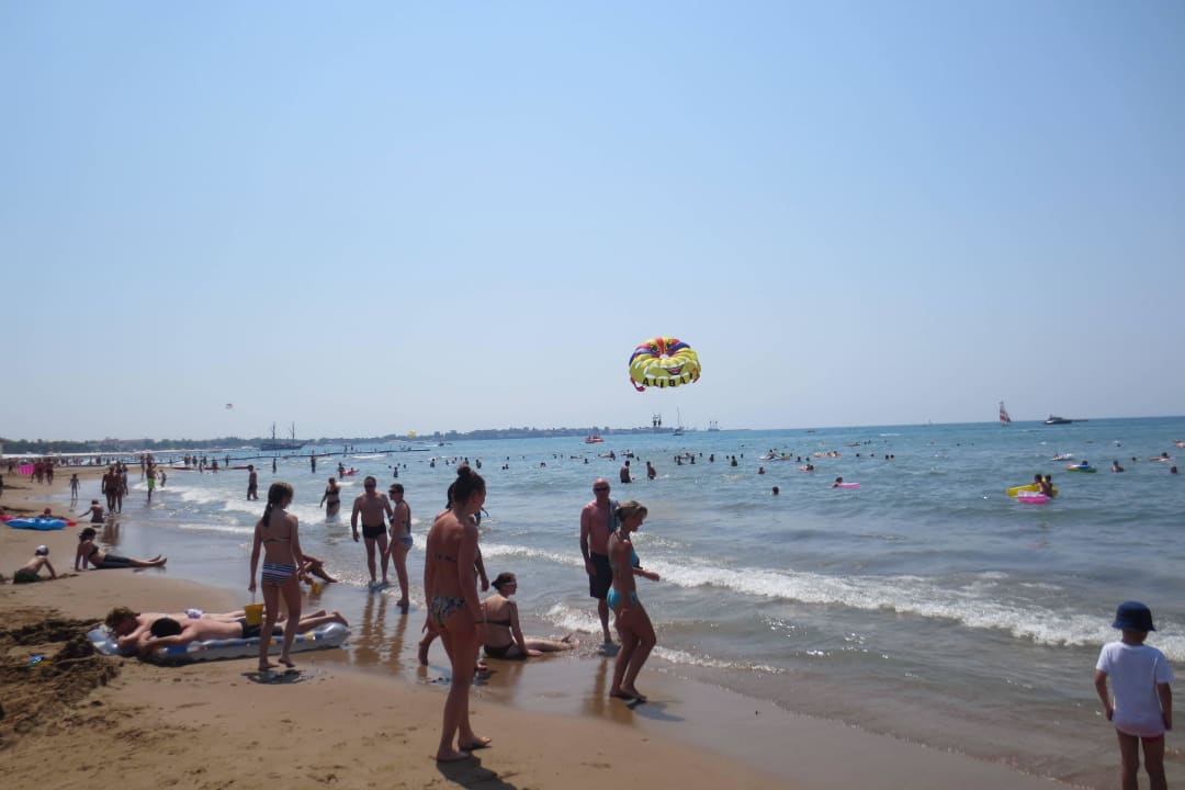 Strand Arum Barut Collection