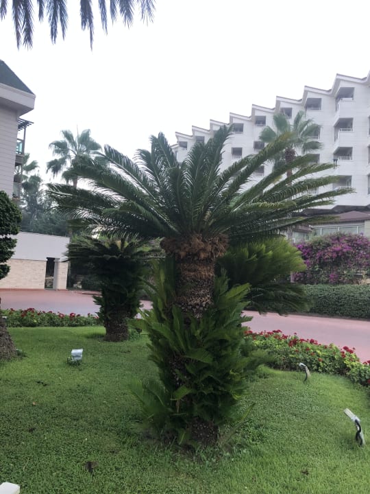 Gartenanlage Hotel Oleander