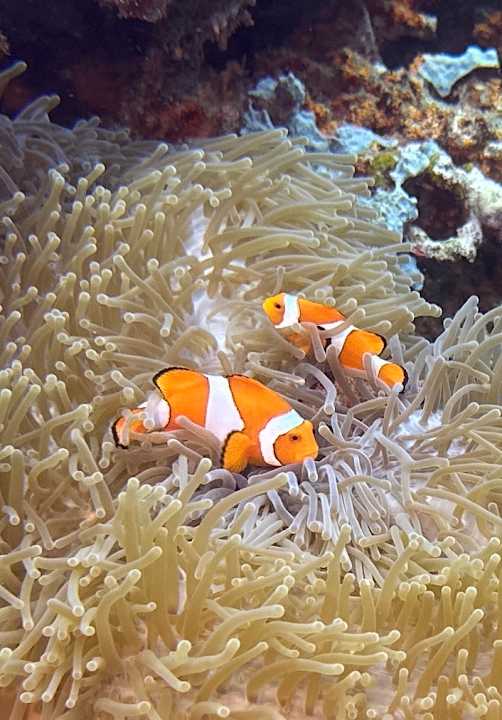 Sport & Freizeit Sali Bay Resort