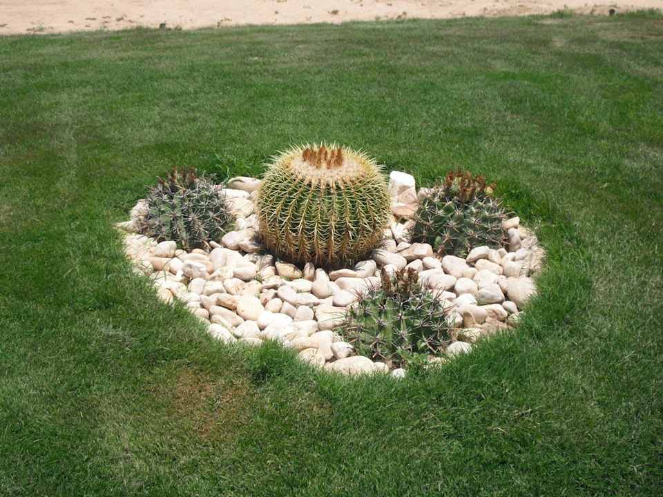 Wuderschöne Anlage Shams Prestige Abu Soma-Adults Only