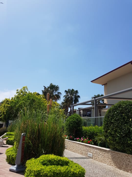 Gartenanlage Paloma Oceana