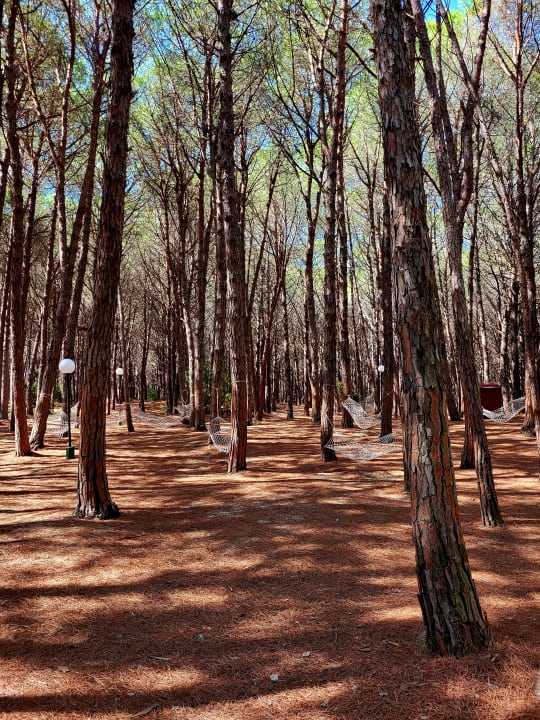 Außenansicht TUI MAGIC LIFE Calabria