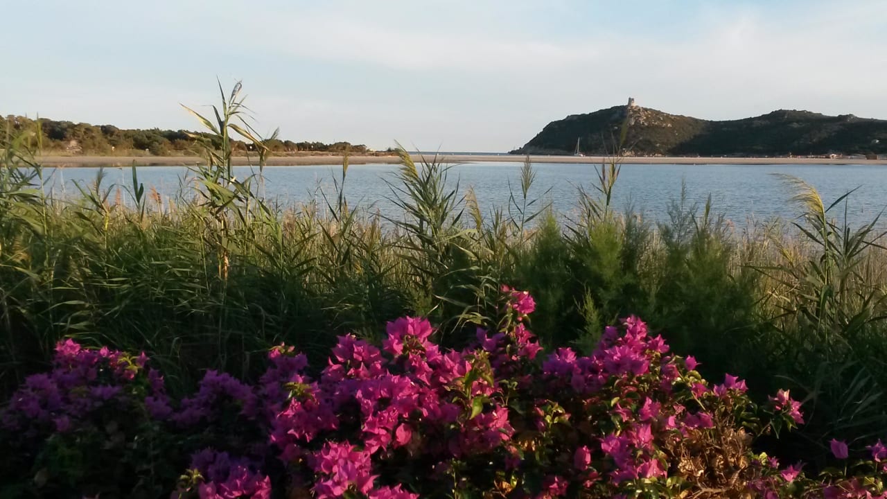 Blick Richtung Meer Almar Timi Ama Resort & Spa